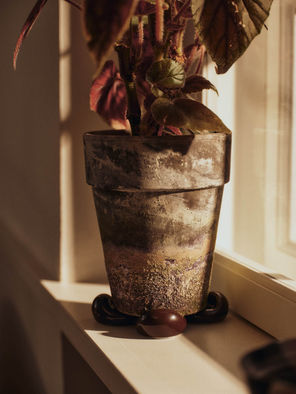 Nube Planter Feet - Set of 4 - Carob Brown