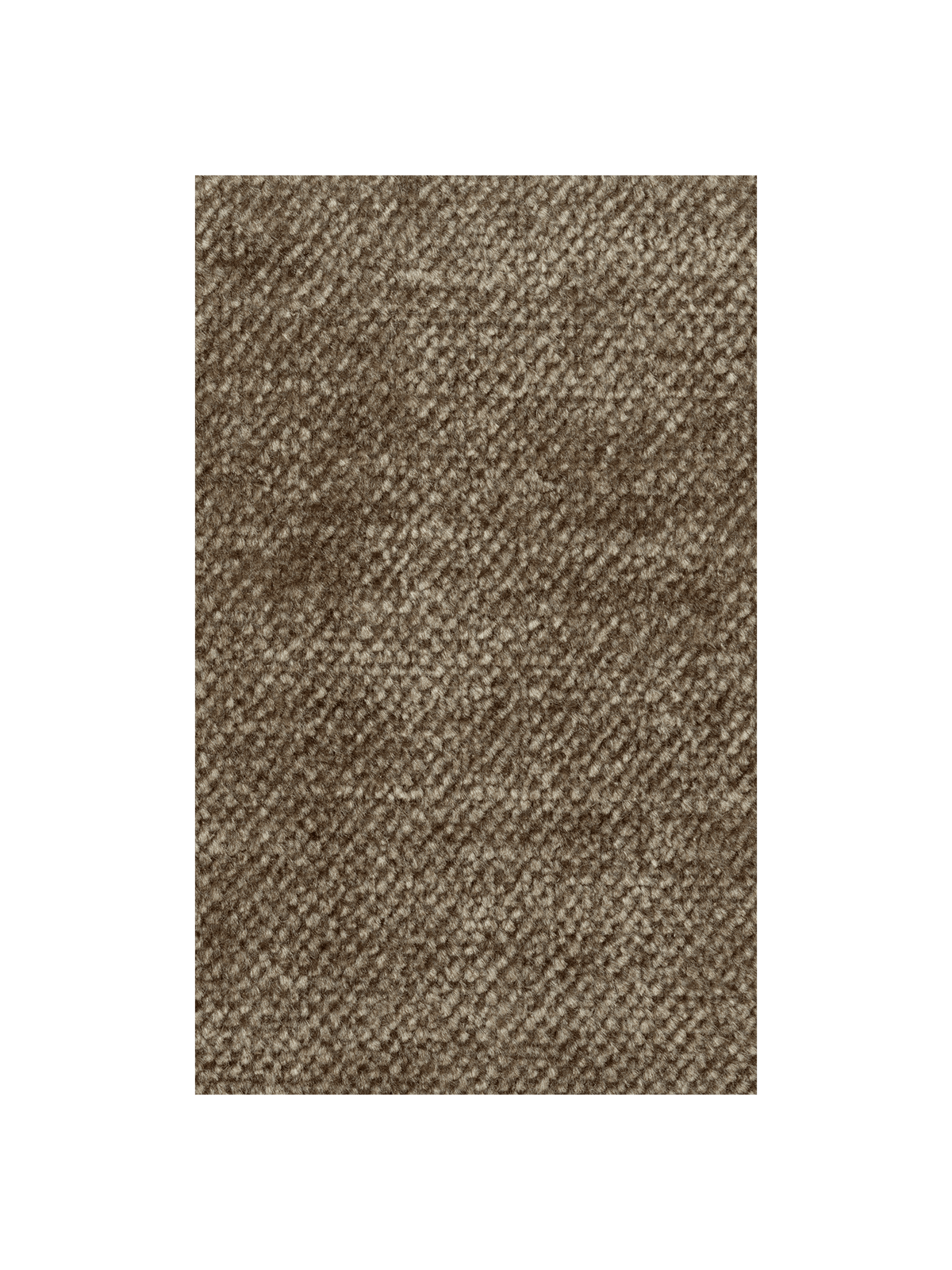 Fabric Sample - Faded Velvet - Beige