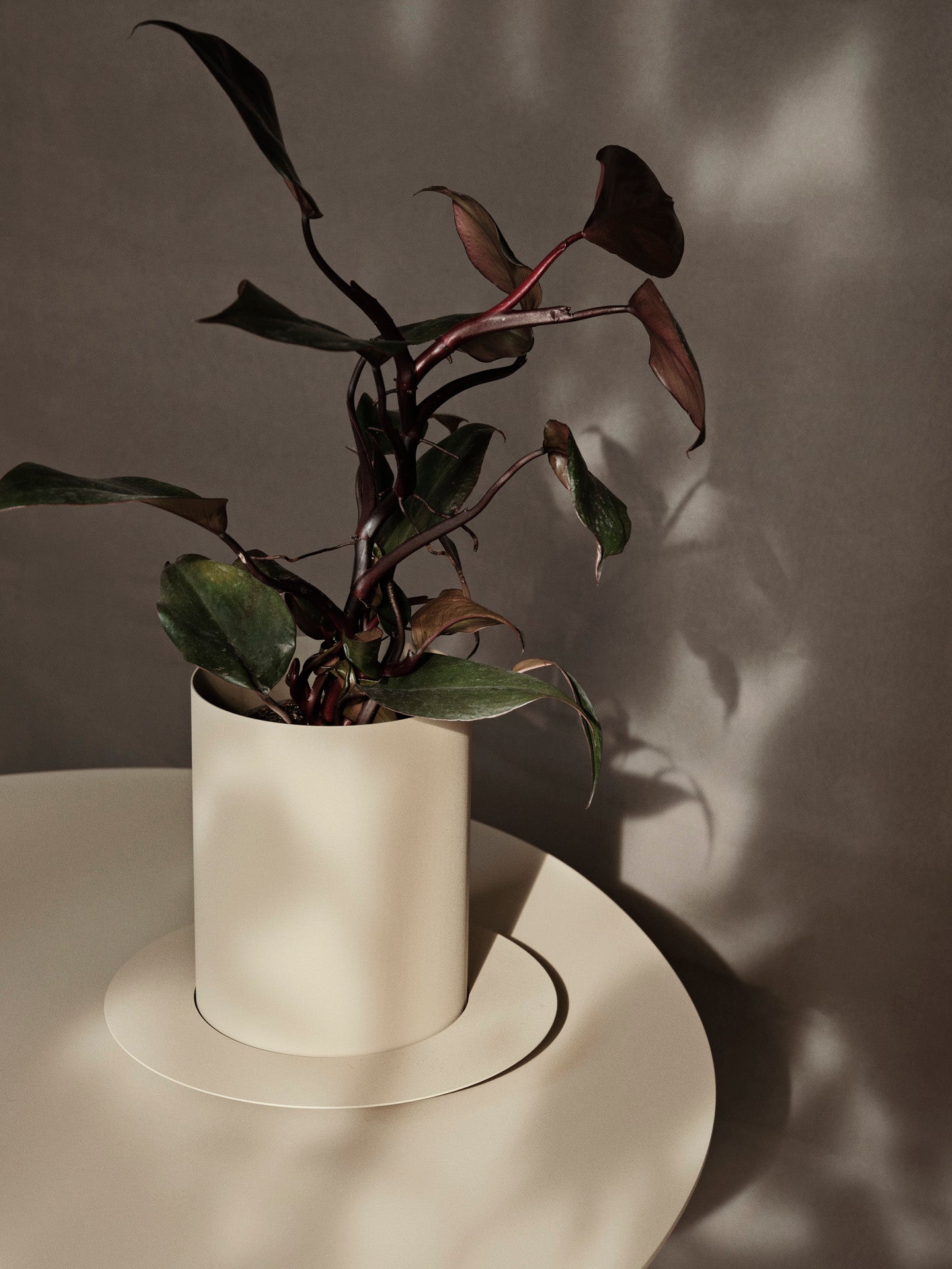 Auran Pot - Cashmere